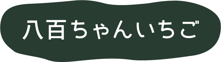 八百ちゃんいちご