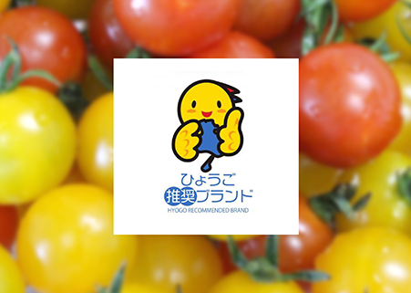 減農薬栽培で兵庫認証食品「ひょうご推奨ブランド」として承認された八百ちゃんトマト