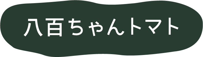 八百ちゃんトマト